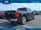 New 2025 Ford F150 XLT w/ Equipment Group 302A MID image 5