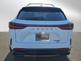 New 2026 Lexus NX 350 AWD w/ Premium Package image 4