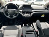New 2025 Honda Odyssey Elite image 2