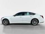 Used 2024 Cadillac CT5 Premium Luxury w/ Climate Package image 2