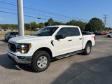 Used 2023 Ford F150 XLT w/ Equipment Group 301A Mid image 2