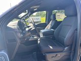 New 2025 Ford F150 XLT image 6