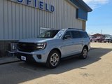 New 2025 Ford Expedition Active image 2