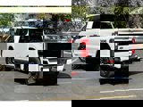 New 2025 Ford F250 Platinum image 3