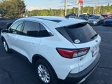 Used 2020 Ford Escape SE image 6