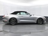 Used 2023 Ford Mustang Premium image 4