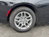 New 2025 Dodge Charger R/T w/ Quick Order Package 25M R/T image 5