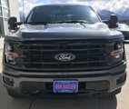 New 2025 Ford F150 XLT image 2