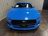 Used 2024 Ford Mustang Premium image 2
