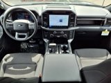 New 2025 Ford F150 XLT w/ Equipment Group 302A MID image 3