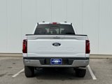 New 2025 Ford F150 XLT w/ Equipment Group 302A MID image 4
