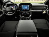 New 2025 Ford F150 XLT w/ Equipment Group 302A MID image 5