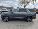 New 2025 Hyundai Palisade Calligraphy image 4