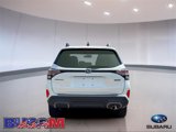 New 2025 Subaru Forester Limited image 5