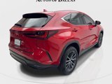 Used 2024 Lexus NX 250 FWD image 6