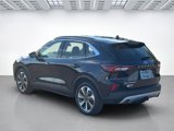 Certified 2024 Ford Escape Platinum w/ Premium Technology Package image 5