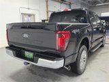 New 2025 Ford F150 XLT w/ Equipment Group 303A High image 5