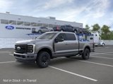 New 2025 Ford F250 Platinum image 2