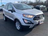 Used 2021 Ford EcoSport SE w/ SE Convenience Package image 2