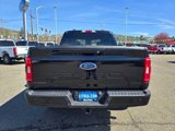 Certified 2023 Ford F150 XLT w/ Equipment Group 302A High image 4