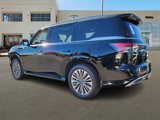 New 2025 INFINITI QX80 Luxe w/ Cargo Package image 4