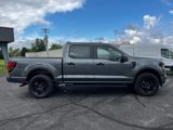 New 2025 Ford F150 STX w/ STX Black Appearance Package image 2