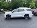 New 2025 Hyundai Palisade Calligraphy image 4