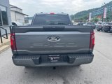 New 2025 Ford F150 STX w/ STX Black Appearance Package image 4