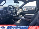 New 2025 Ford F150 XLT w/ Equipment Group 302A MID image 2