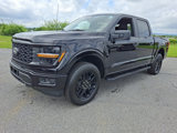 New 2025 Ford F150 STX image 2