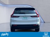 Certified 2024 Honda CR-V EX-L image 4