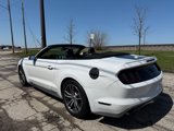 Used 2016 Ford Mustang Premium image 5