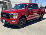 Used 2021 Ford F150 XLT w/ Equipment Group 302A High image 2