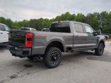 New 2025 Ford F250 Platinum image 4
