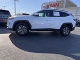 Used 2024 Hyundai Tucson Blue image 2
