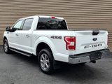 Used 2020 Ford F150 XLT w/ Equipment Group 302A Luxury image 3