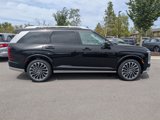 New 2026 Hyundai Palisade Calligraphy image 4