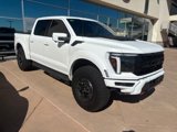 Used 2025 Ford F150 Raptor w/ Equipment Group 803A Raptor R image 3
