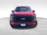 Used 2022 Ford F150 XLT w/ Equipment Group 302A High image 4