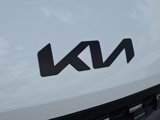 New 2025 Kia Carnival SX Prestige image 4