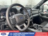 Certified 2023 Ford F150 XLT w/ Equipment Group 302A High image 2