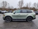 New 2025 Kia Telluride EX X-Line image 4