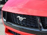 New 2025 Ford Mustang GT Premium image 5