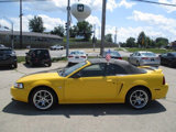 Used 1999 Ford Mustang Convertible image 2