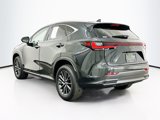 Used 2024 Lexus NX 350 AWD w/ Premium Package image 5