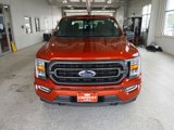 Certified 2023 Ford F150 XLT w/ Equipment Group 302A High image 3
