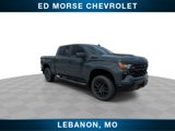 New 2025 Chevrolet Silverado 1500 Custom Trail Boss w/ Turbomax Blackout Package image 2