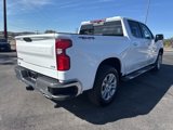 New 2025 Chevrolet Silverado 1500 LTZ w/ LTZ Premium Texas Edition image 5