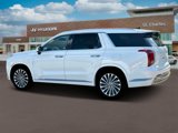 New 2025 Hyundai Palisade Calligraphy image 4