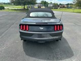 Used 2016 Ford Mustang Premium image 4